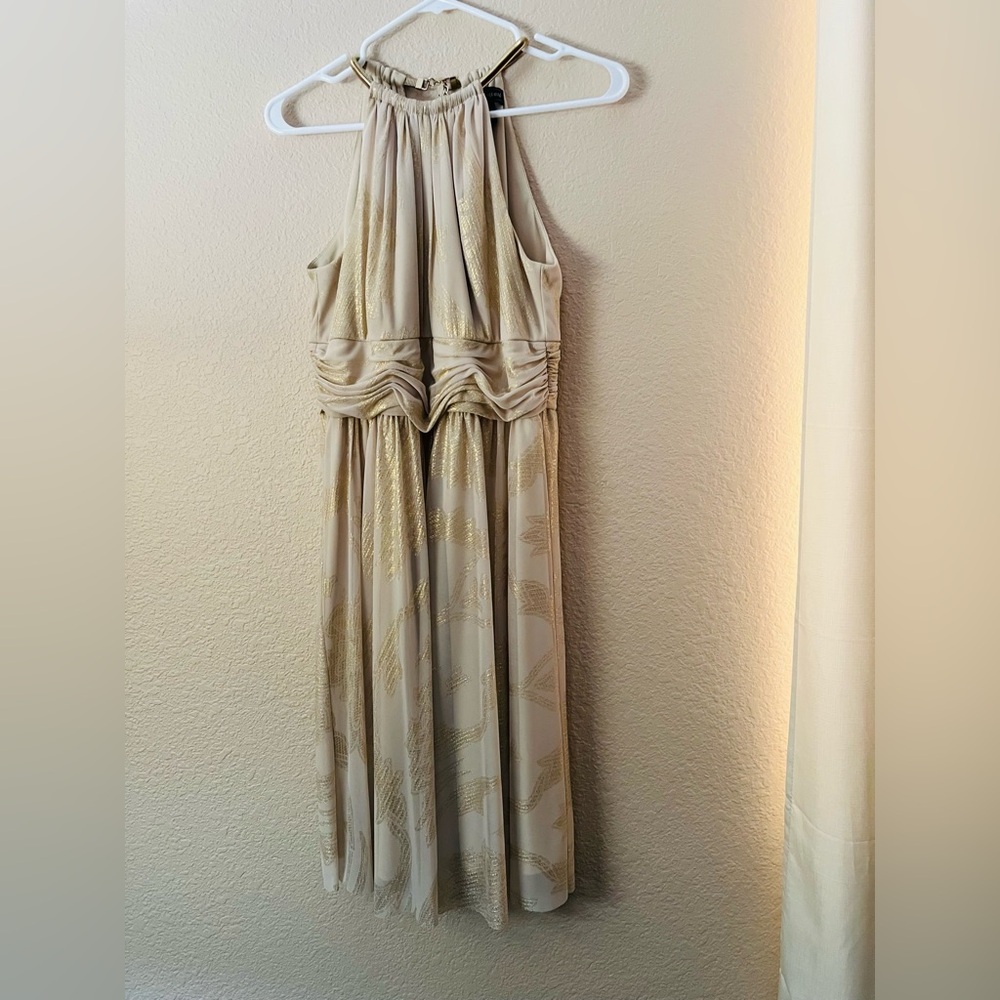 Jessica Howard Cream and Gold Backless Dress